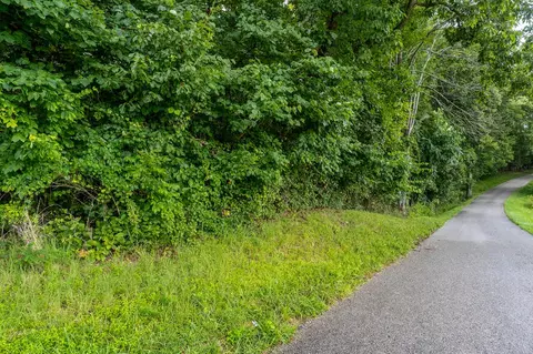 00 Bowman Ln, Doyle, TN 38559 photo 4
