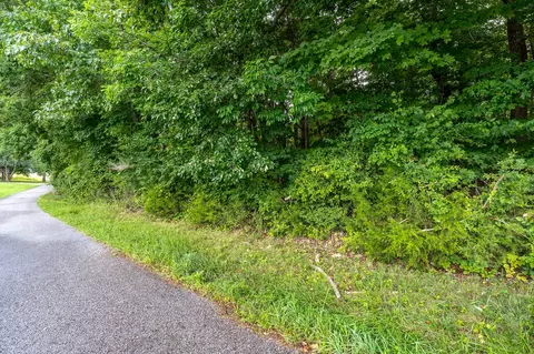 00 Bowman Ln, Doyle, TN 38559 photo 3