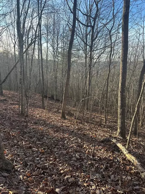 lot278 Purple Iris, Wilder, TN 38589