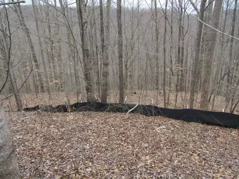 lot60 W Bobcat Ln, Wilder, TN 38589