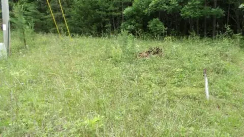 lot48 Parkstown Ext Rd, Wilder, TN 38589