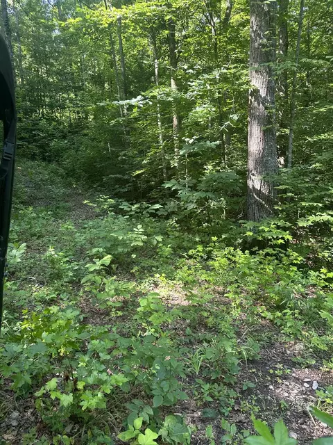 lot419 Grabber Ln, Wilder, TN 38589