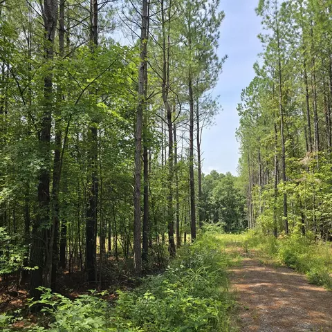 T23 L3 Sheep Ranch Road, Robbins, TN 77852