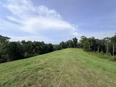 Tract 3 Cherrytree Ln, Monroe, TN 38573 photo 3