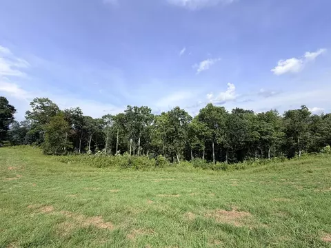 Tract 3 Cherrytree Ln, Monroe, TN 38573 photo 4