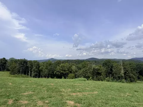 Tract 3 Cherrytree Ln, Monroe, TN 38573 photo 9