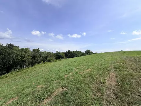 Tract 3 Cherrytree Ln, Monroe, TN 38573 photo 5