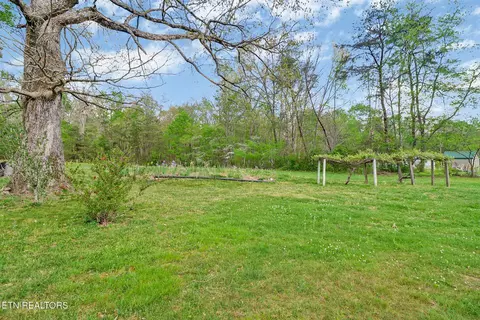 Exterior - 1243 Franklin Lp, Clarkrange, TN 38553 photo 7 of 20