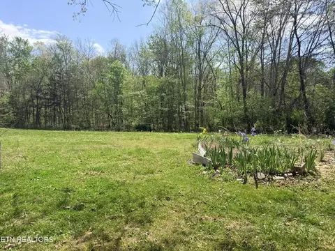 Exterior - 1243 Franklin Lp, Clarkrange, TN 38553 photo 8 of 20