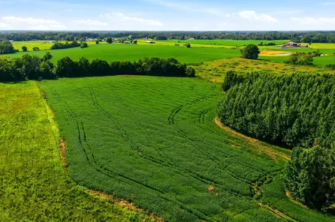tbd Horton Rd, Quebeck, TN 38579 photo 12