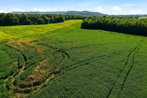 tbd Horton Rd, Quebeck, TN 38579 photo 8