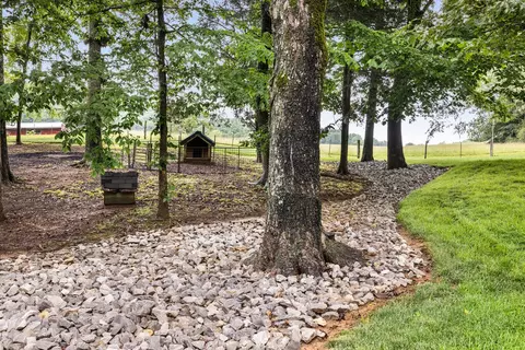Exterior - 380 Webbs Camp Rd, Walling, TN 38587 photo 23 of 31