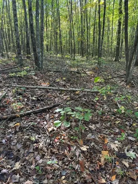 lot70 Parkstown Ext, Wilder, TN 38589