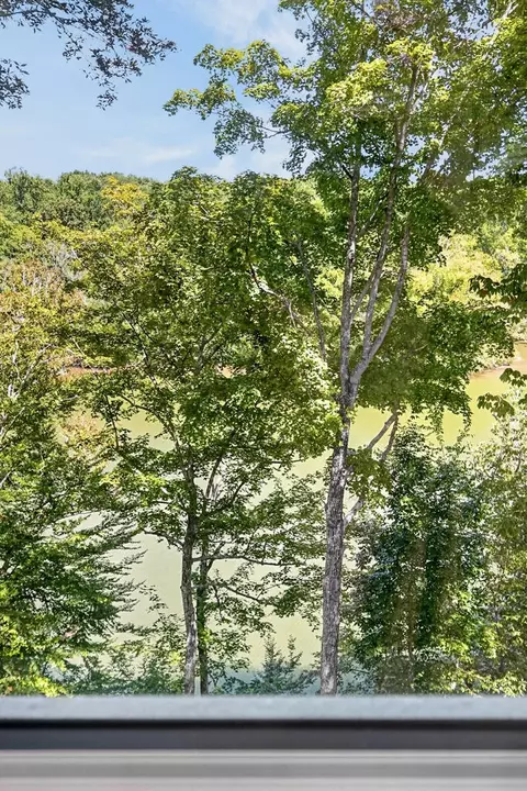 View/Area - 300 Chandler Rd, Doyle, TN 38559 photo 4 of 12
