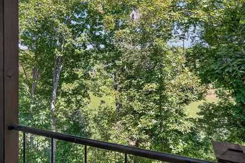View/Area - 300 Chandler Rd, Doyle, TN 38559 photo 3 of 12