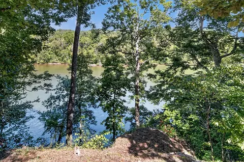 View/Area - 300 Chandler Rd, Doyle, TN 38559 photo 2 of 12
