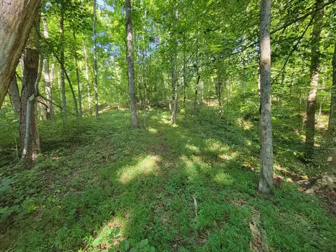 lot24 Russell Rd, Rock Island, TN 38581