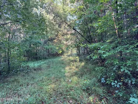 - Davis Rd, Deer Lodge, TN 37726 photo 41