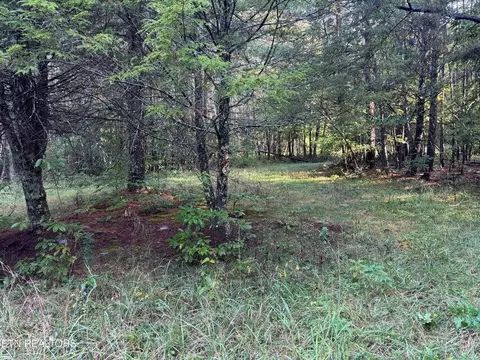 - Davis Rd, Deer Lodge, TN 37726 photo 36