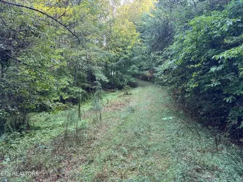 - Davis Rd, Deer Lodge, TN 37726 photo 33