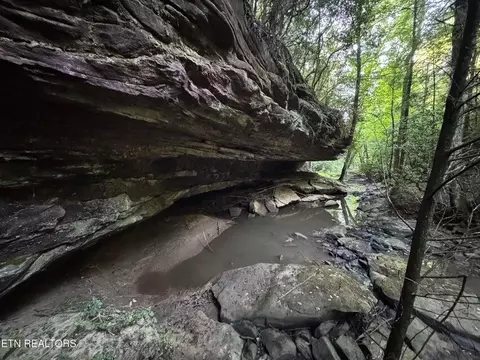 - Davis Rd, Deer Lodge, TN 37726 photo 20