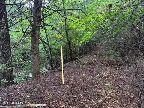 - Davis Rd, Deer Lodge, TN 37726 photo 7