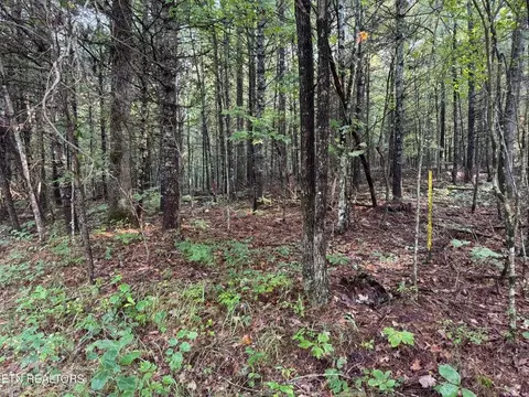 - Davis Rd, Deer Lodge, TN 37726 photo 34