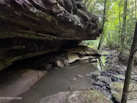 - Davis Rd, Deer Lodge, TN 37726 photo 21