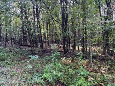 - Davis Rd, Deer Lodge, TN 37726 photo 39