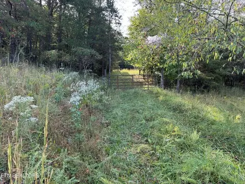 - Davis Rd, Deer Lodge, TN 37726 photo 54