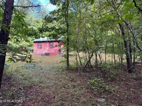 - Davis Rd, Deer Lodge, TN 37726 photo 48