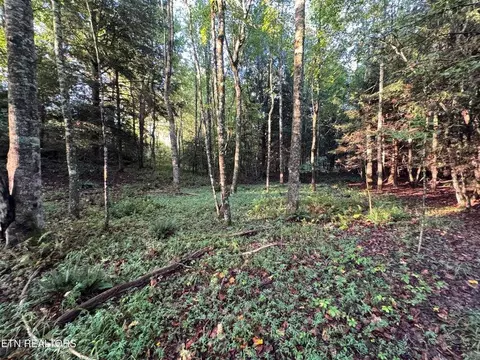 - Davis Rd, Deer Lodge, TN 37726 photo 2