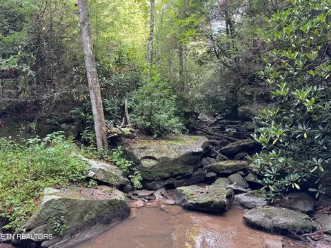 - Davis Rd, Deer Lodge, TN 37726 photo 44