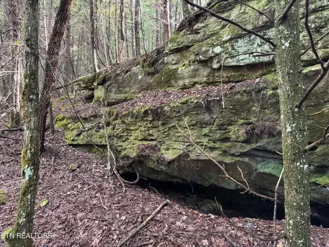 - Davis Rd, Deer Lodge, TN 37726 photo 45