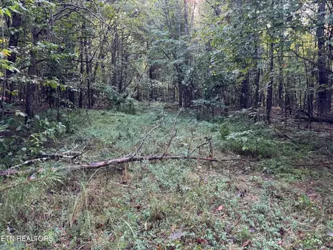 - Davis Rd, Deer Lodge, TN 37726 photo 40