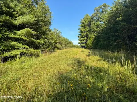 - Davis Rd, Deer Lodge, TN 37726 photo 30
