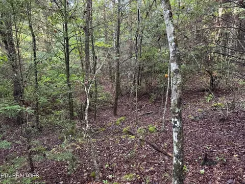 - Davis Rd, Deer Lodge, TN 37726 photo 19