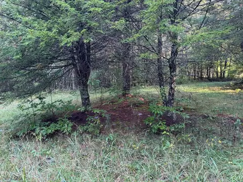 - Davis Rd, Deer Lodge, TN 37726 photo 37