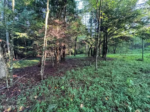 - Davis Rd, Deer Lodge, TN 37726 photo 3