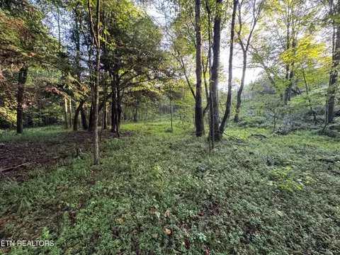 - Davis Rd, Deer Lodge, TN 37726 photo 4