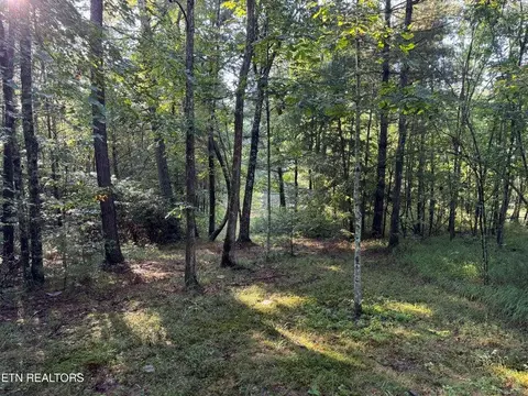 - Davis Rd, Deer Lodge, TN 37726 photo 28