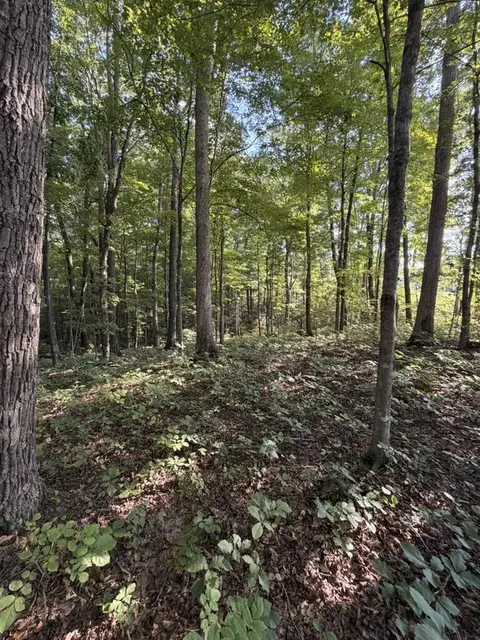 1700 Canada Flatt Rd, Cookeville, TN 38506