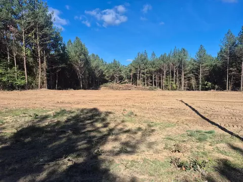 lot2 Whispering Pines Ln, Crossville, TN 38572
