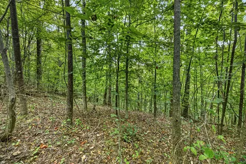 lot31 Timber Ridge Lane- Phase Ii, Celina, TN 38551