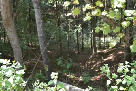 lot4 7 Weber Ln, Celina, TN 38551