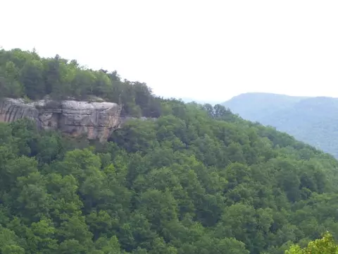 lot65 Panther Fls, Wilder, TN 38589