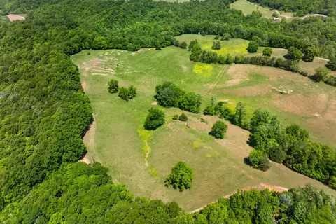 127 57ac Homer Watson Rd, Burkesville, KY 42717