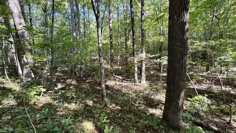 187 High Point Rd, Deer Lodge, TN 37726 photo 18