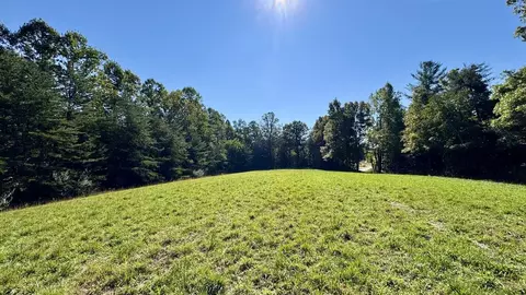 187 High Point Rd, Deer Lodge, TN 37726 photo 4