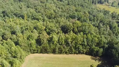 187 High Point Rd, Deer Lodge, TN 37726 photo 12